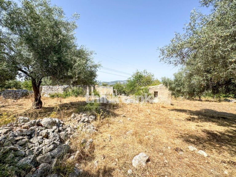 Plot for Sale in Solarino