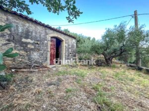 country house for Sale in Piedimonte Etneo