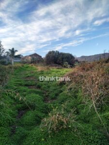 country house for Sale in Fiumefreddo di Sicilia