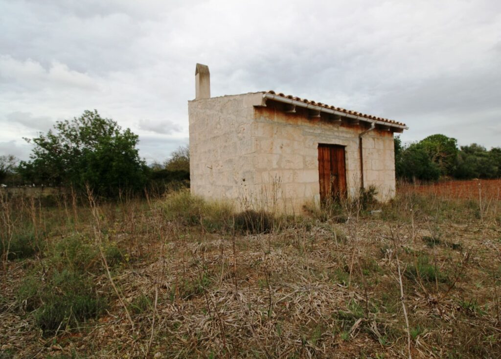 Plot for Sale in Binissalem