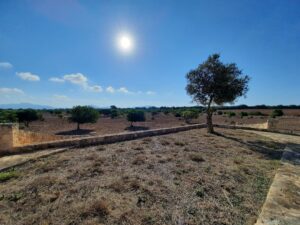 Plot for Sale in Maria de la Salut
