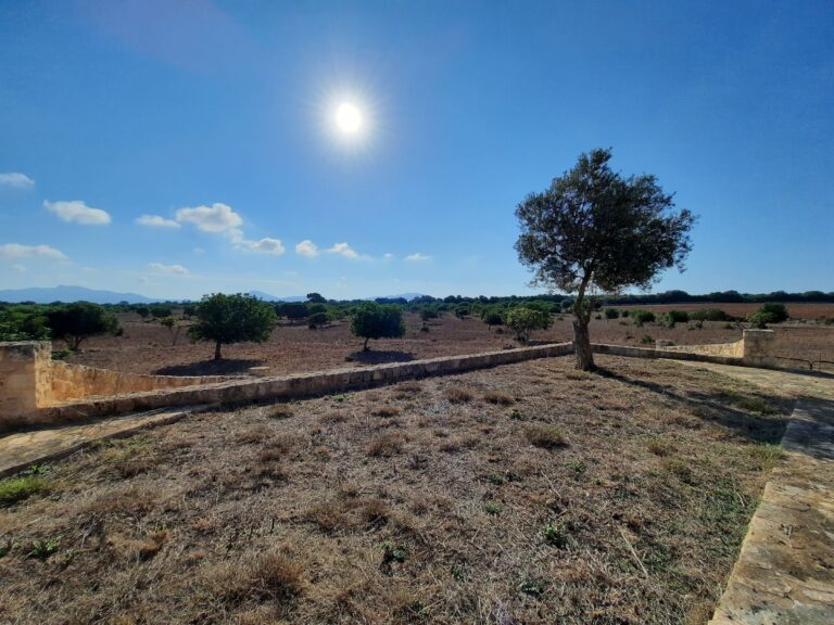Plot for Sale in Maria de la Salut