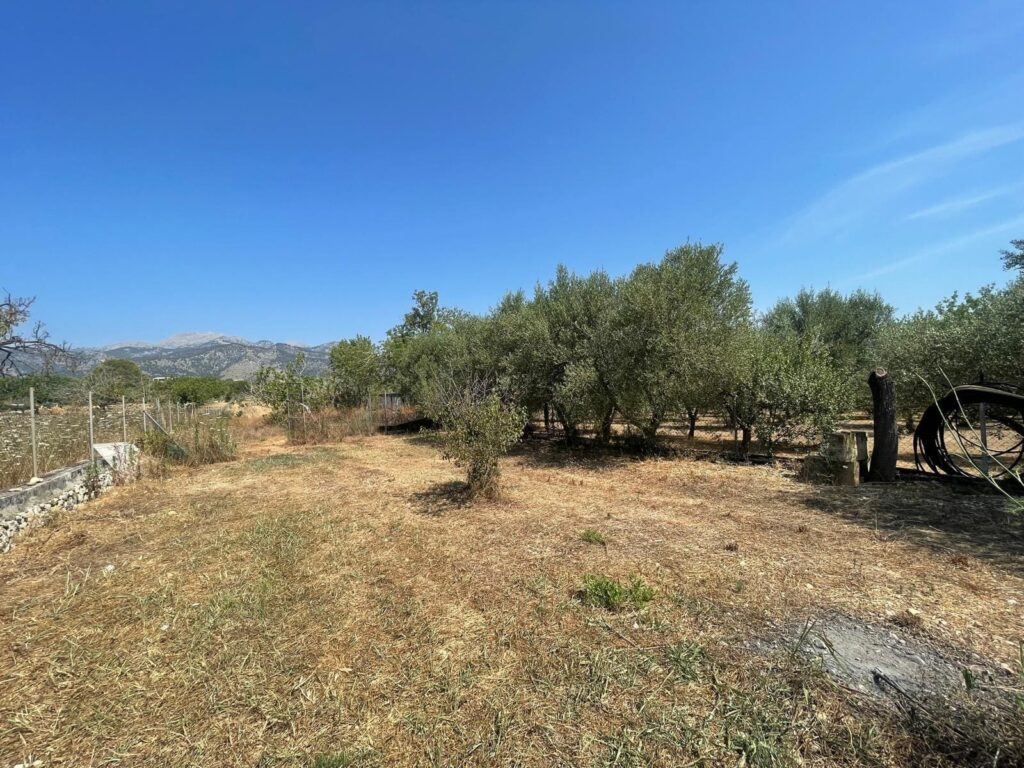 Plot for Sale in Selva