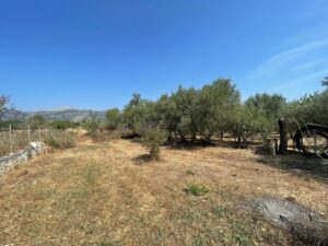 Plot for Sale in Selva