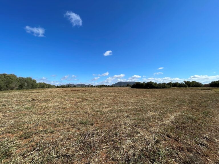 Plot for Sale in Llucmajor