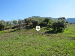 Plot for Sale in Las Casillas