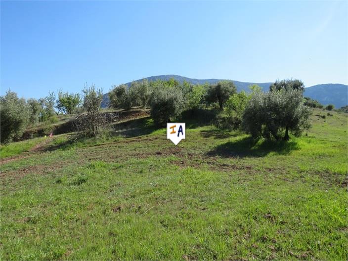 Plot for Sale in Las Casillas