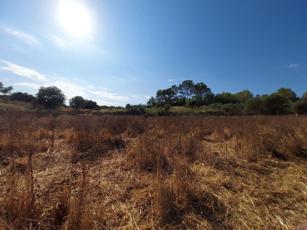 Plot for Sale in Maria de la Salut