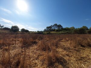 Plot for Sale in Maria de la Salut