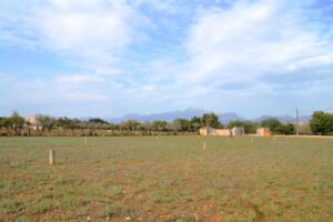 Plot for Sale in Búger