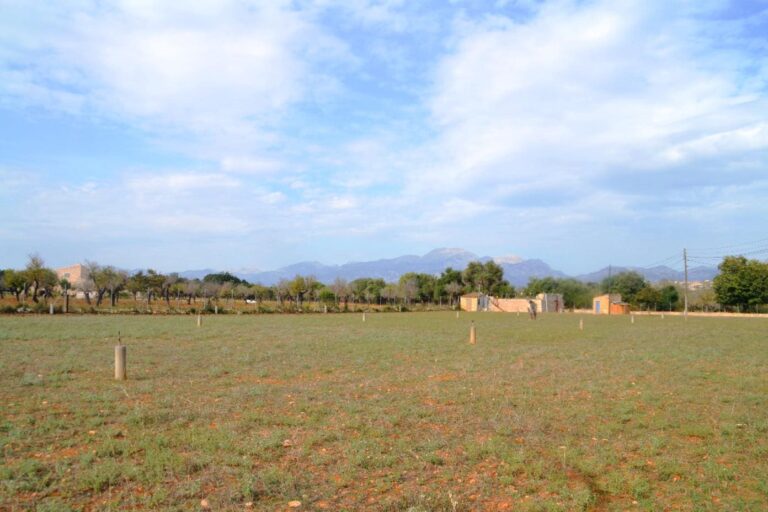 Plot for Sale in Búger